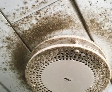 Mold Remediation Full Recovery Restoration Camas Washingtonjpg